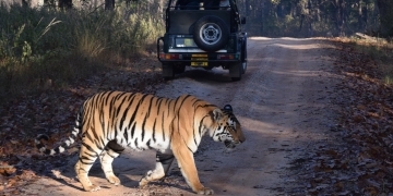 Taj Mahal & Khajuraho Tour